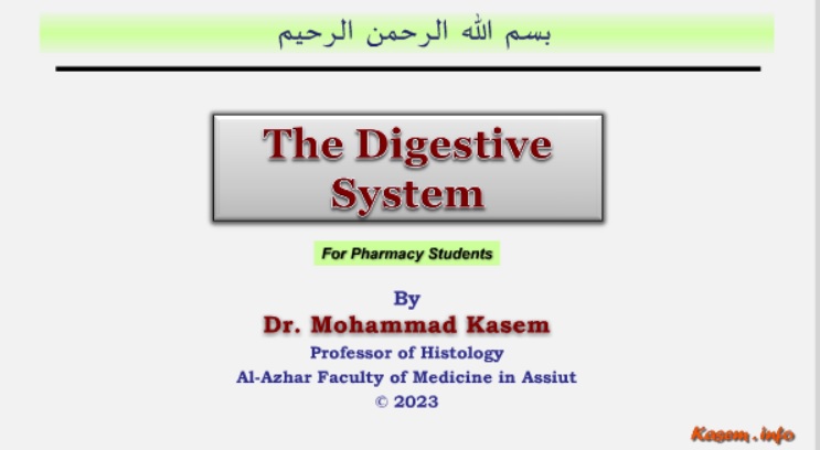 View Lecture online