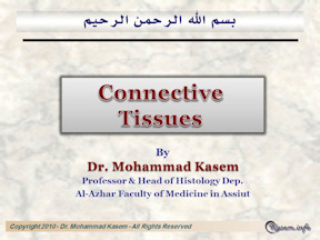 Histology of Connective Tissues