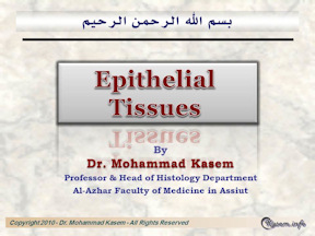 Histology of The Epithelial Tissues