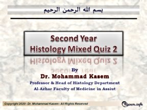 Second Year Mixed Quiz #2